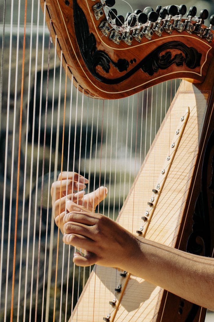 Detailed image of hands playing a harp outside, capturing the instruments artistry and craftsmanship.
